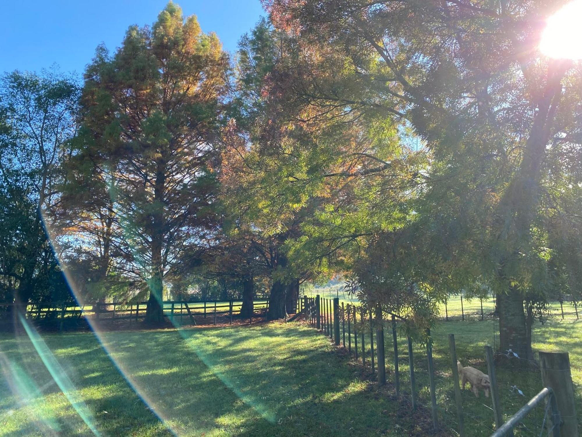 Willows Reach Lodge Kumeu ภายนอก รูปภาพ